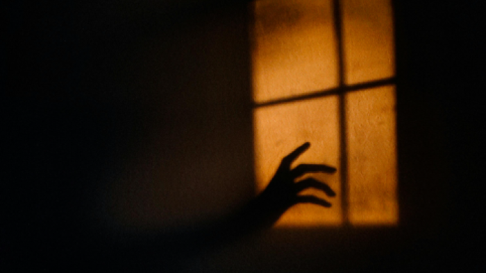 Köpek Çiftliğindeki Hayalet / Birinci Bölüm